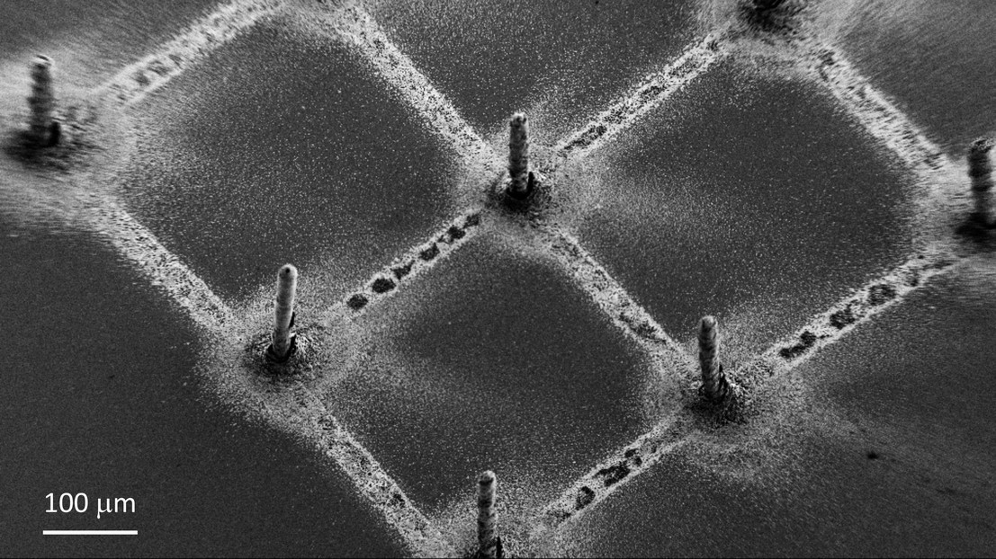 Example of the deposited perovskite pillars, defining a pixel for the creation of an image. Credit: L. Forró, EPFL. Example of the deposited perovskite pillars, defining a pixel for the creation of an image. Credit: L. Forró, EPFL.