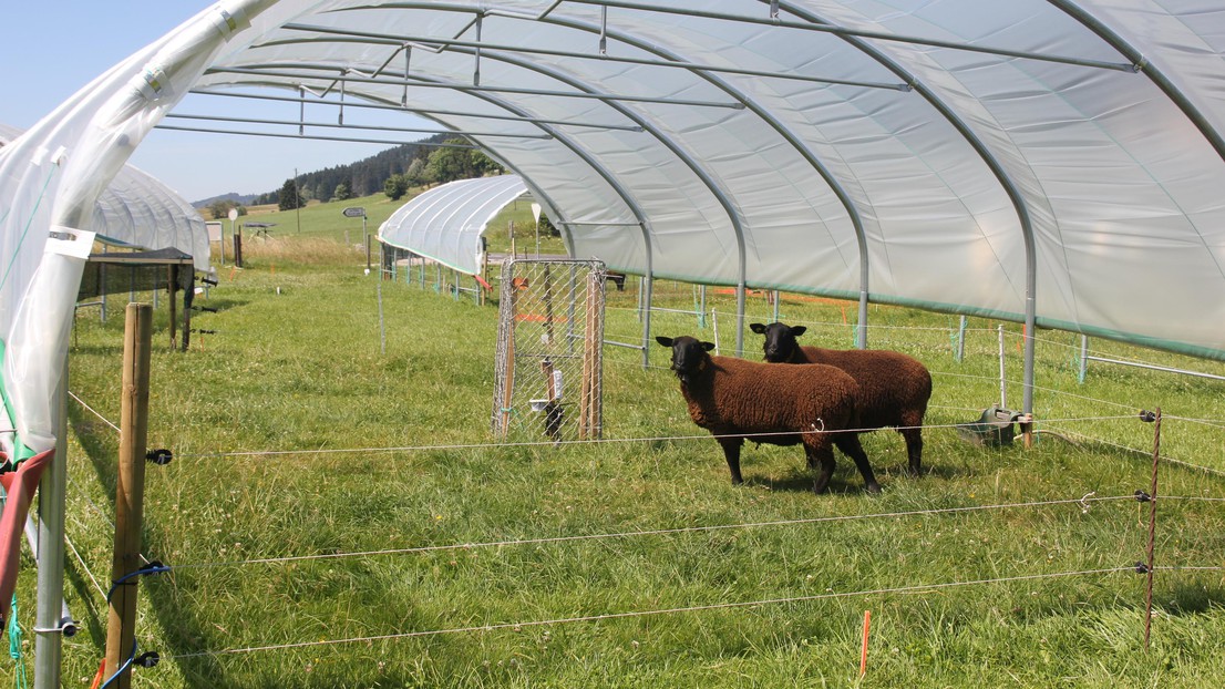 © 2012 Agroscope Changins-Wädenswil © 2012 Agroscope Changins-Wädenswil