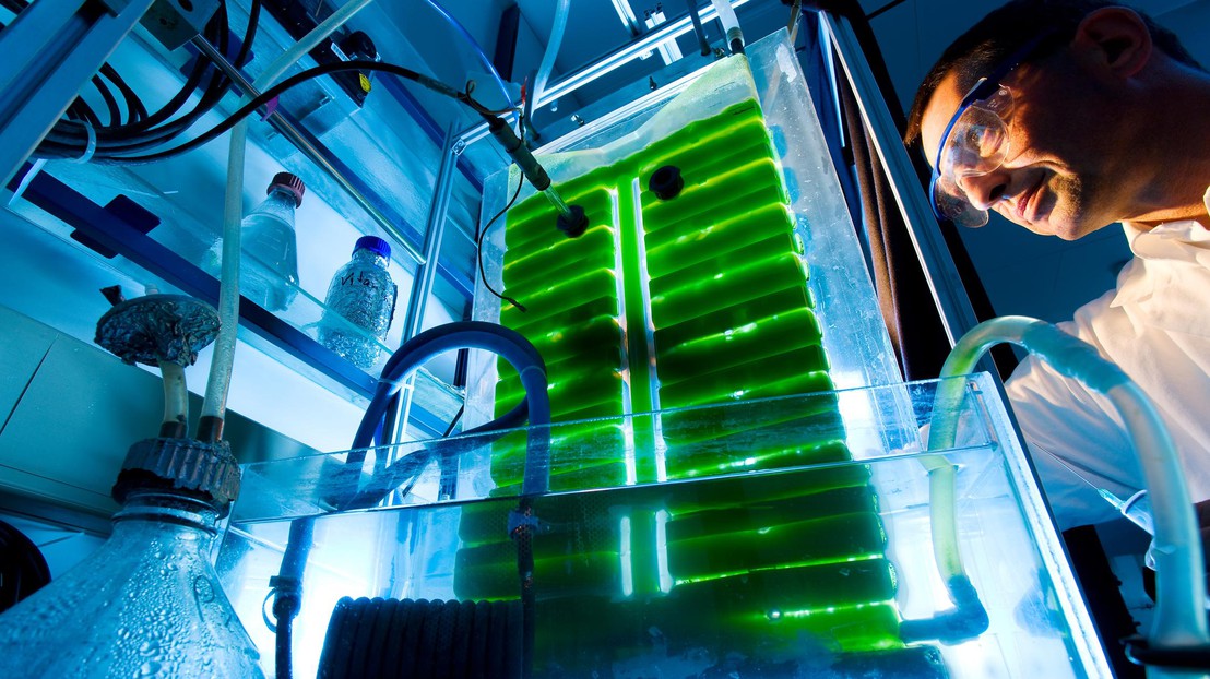This demonstration photobioreactor is being shown in Bern. © Thomas Ernsting This demonstration photobioreactor is being shown in Bern. © Thomas Ernsting