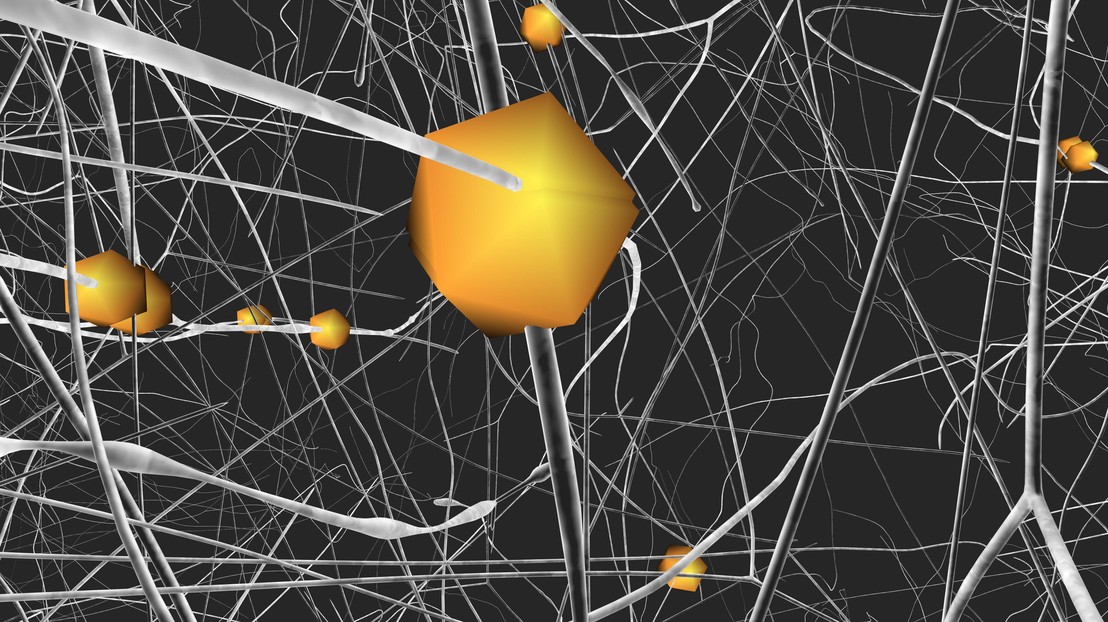 © EPFL / Blue Brain © EPFL / Blue Brain