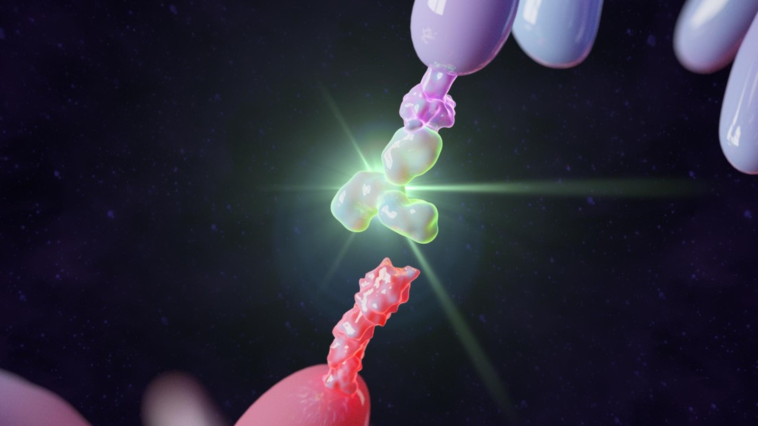 Un médicament commutable pour une immunothérapie plus sûre © 2021 EPFL