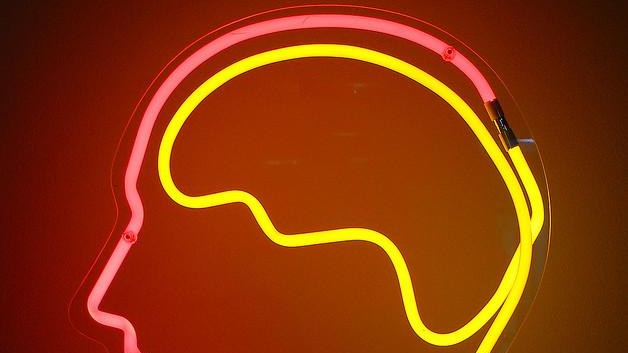 © dierk schaefer © dierk schaefer