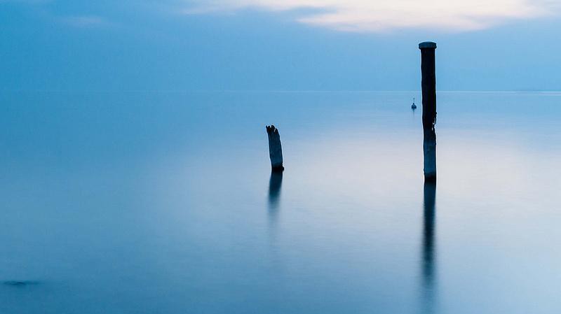 Creative commons / DeGust Creative commons / DeGust