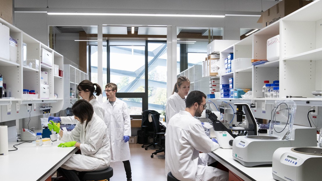 The five stories of the Agora building allow for the meeting of specialties and the fusion of ideas.© SCCL The five stories of the Agora building allow for the meeting of specialties and the fusion of ideas.© SCCL