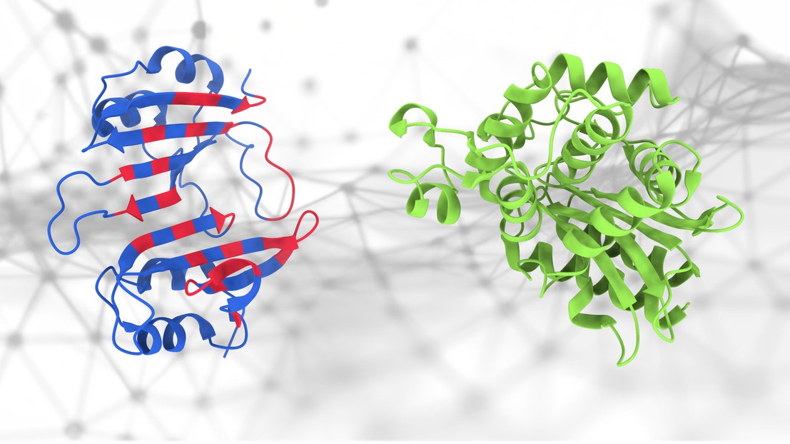 The geometric deep-learning method (PeSTo) used to predict protein binding interfaces.The amino acids involved are highlighted in red. 2023 EPFL/Lucien Krapp- CC-BY-SA 4.0