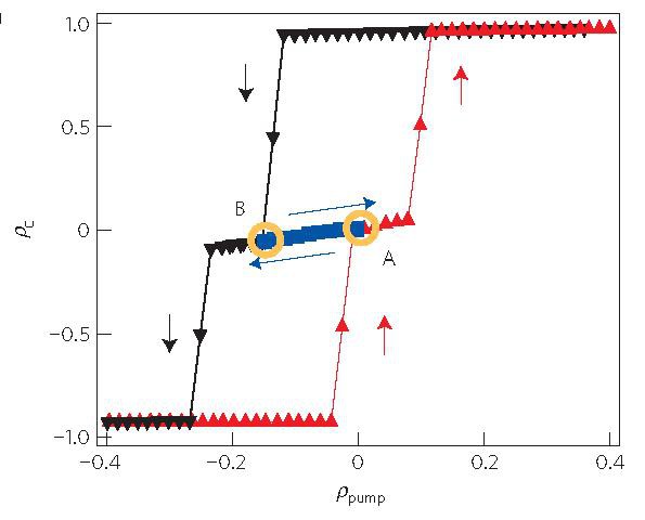 Measurement of the spin flip as a function of polarization degree of the pump laser.