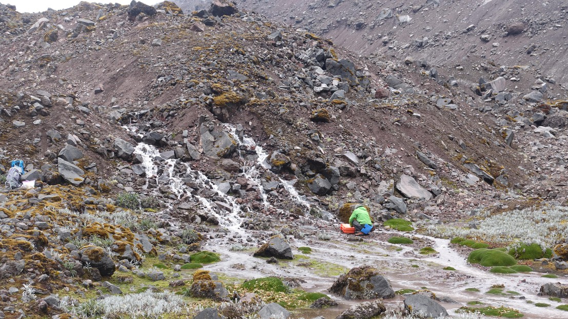 Picture taken in Ecuador, while sampling the river on February, 27, 2020. © NOMIS Field Team Picture taken in Ecuador, while sampling the river on February, 27, 2020. © NOMIS Field Team