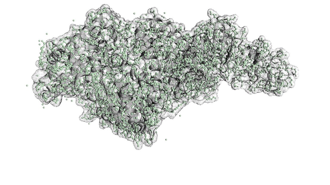 Taq polymerase. © Emphase / EPFL