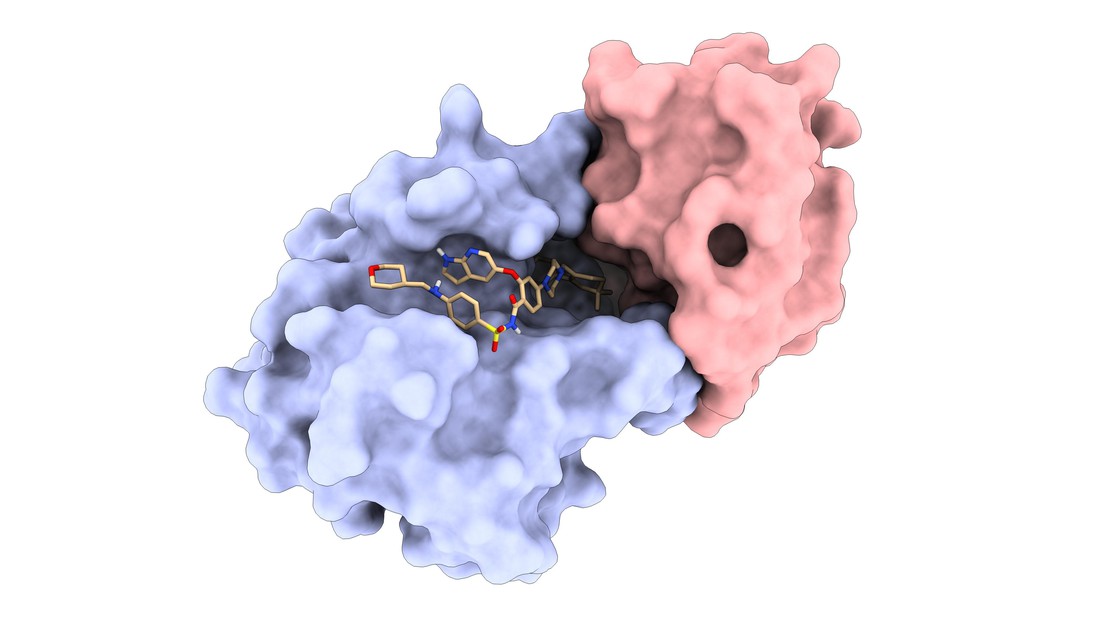 One of the LPDI's de novo protein binders (red) bound to the protein Bcl2 (blue) in complex with FDA-approved drug Venetoclax (beige) © LPDI EPFL