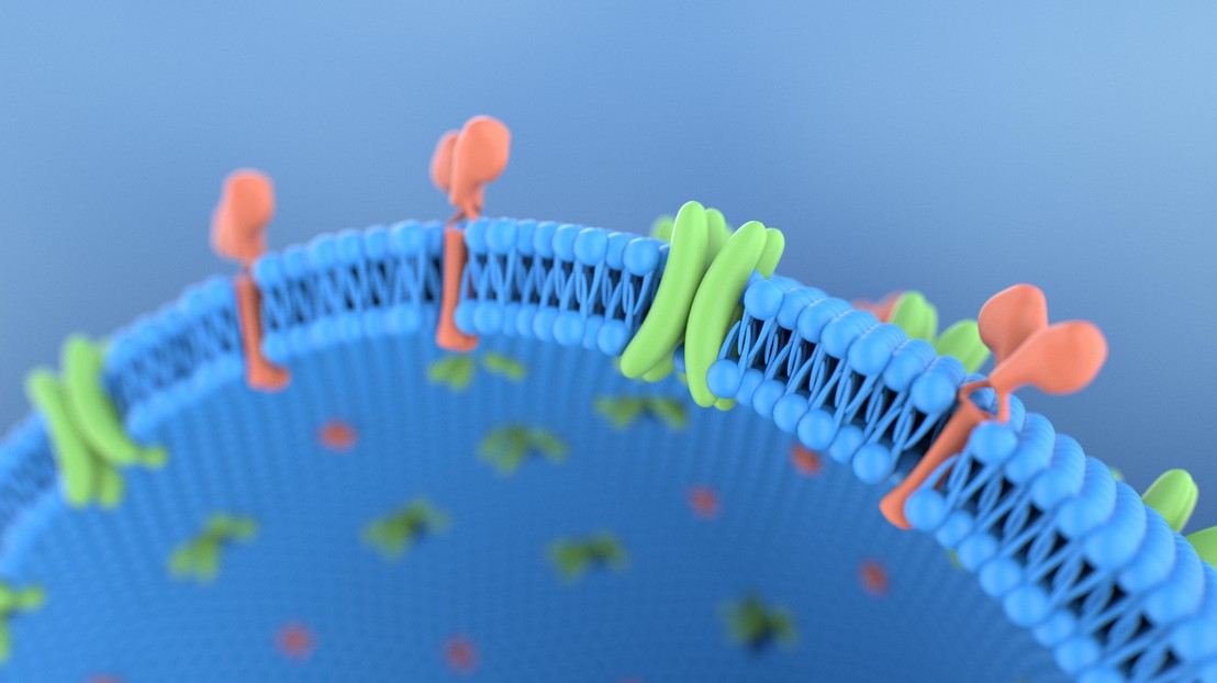 ©EPFL/iStock photos (luismmolina) ©EPFL/iStock photos (luismmolina)