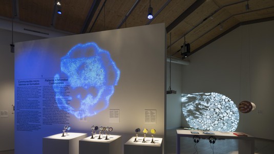 The exhibition Shapes: Patterns in Art and Science - 2025 EPFL/Julien Gremaud - CC-BY-SA 4.0