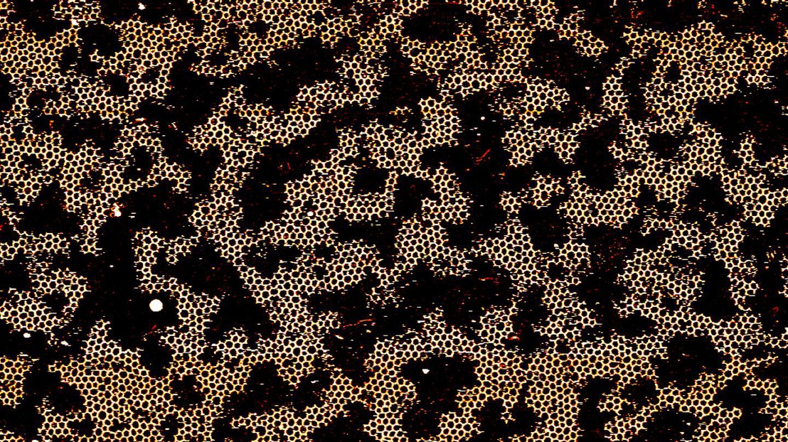 Atomic force microscopy image of a DNA hexagonal network © PBL EPFL