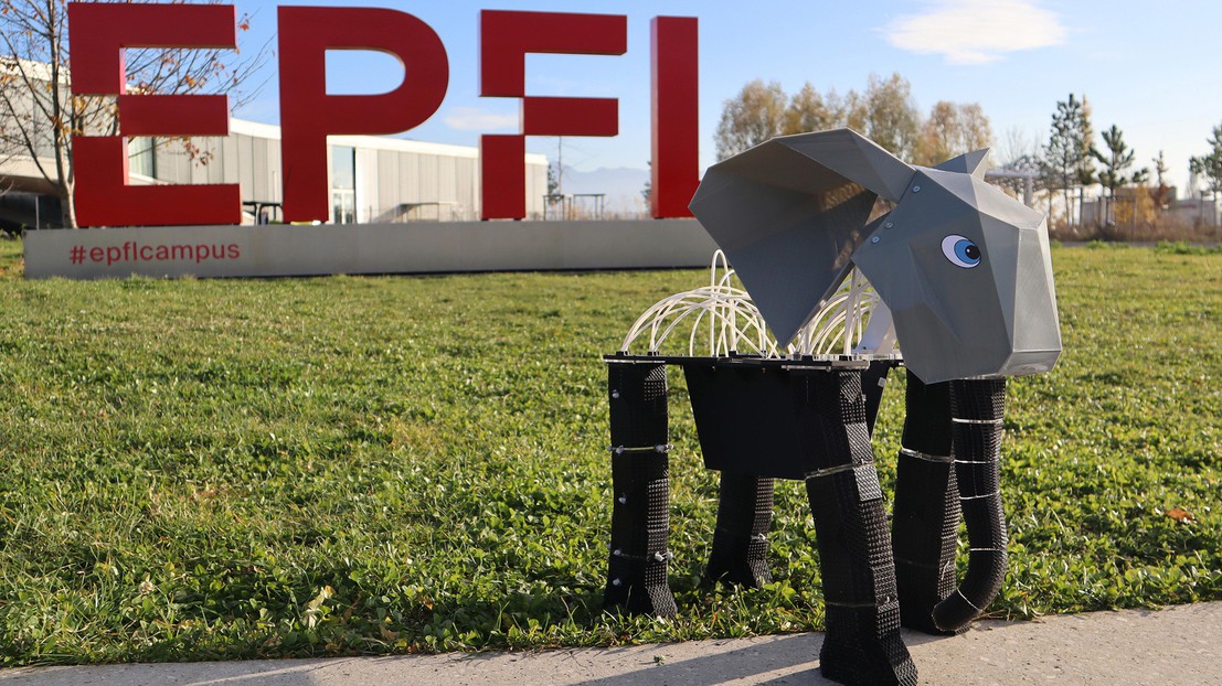 The EleBot. 2025 CREATE EPFL CC BY SA 4.0