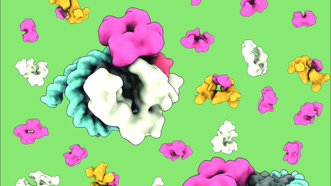 Cover art showing the nucleosome being bound by various cofactors and p53. Credit: Colby R. Sandate (EPFL)