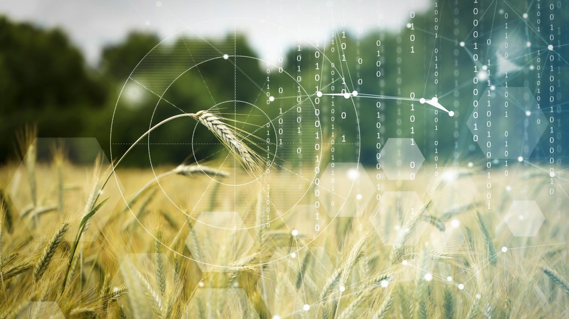 Quantum computing could help solve global problems such as hunger. © iStock Quantum computing could help solve global problems such as hunger. © iStock