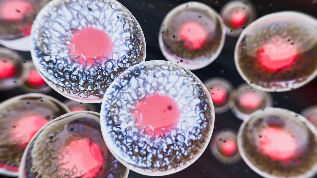 © EPFL/iStock (koto_feja) © EPFL/iStock (koto_feja)