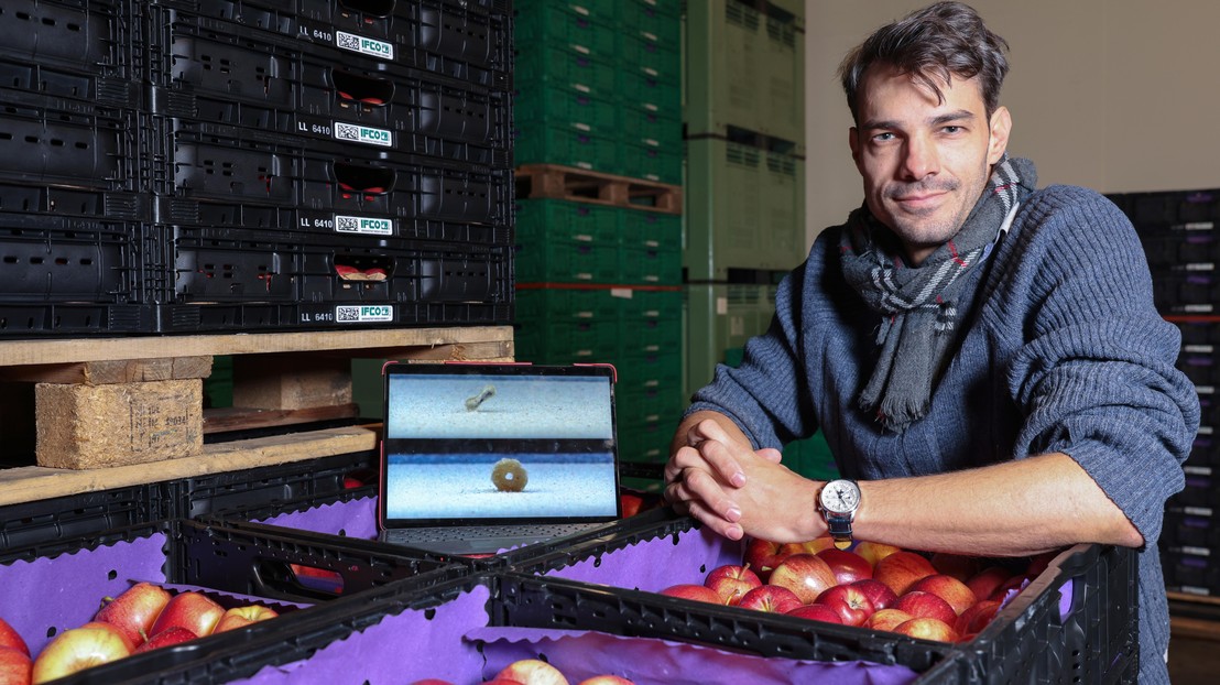 Bertil Trottet, an EPFL physicist who also runs a family tree farm in Féchy. 2026 EPFL / Alain Herzog - CC-BY-SA 4.0 Bertil Trottet, an EPFL physicist who also runs a family tree farm in Féchy. 2026 EPFL / Alain Herzog - CC-BY-SA 4.0