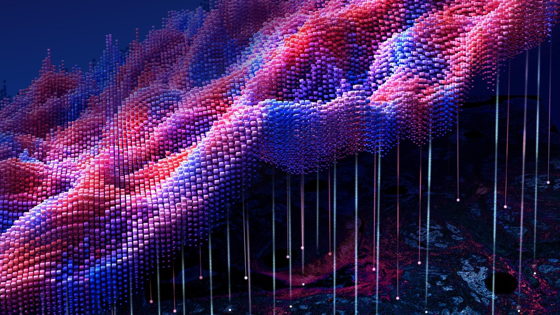 VirTues turns a tumor tissue section into a learned representation that can be compared across patients and studies. © 2026 SayoStudio