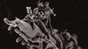 Vibrio cholerae bacteria attached to a chitin surface ©Graham Knott & Melanie Blokesch/EPFL
