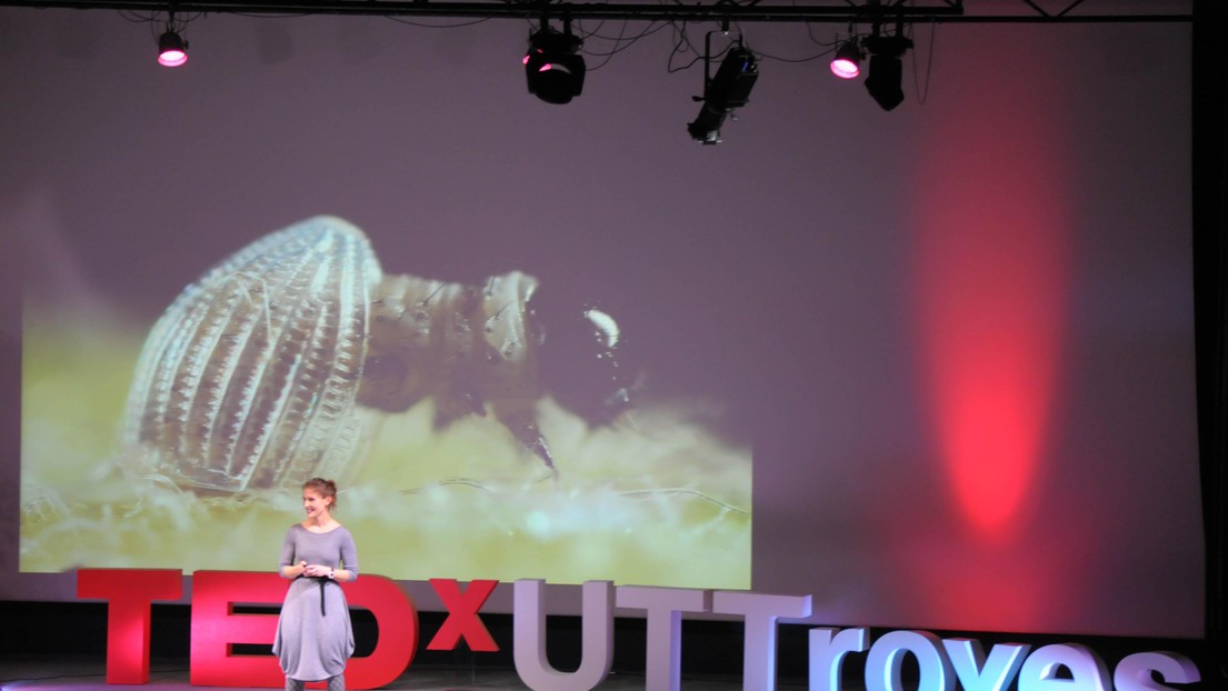 Darja Dubravcic giving a TEDx talk © 2017 TEDx UTT