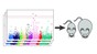 New systems biology tool helps identify new genes affecting body weight (credit: J. Auwerx/EPFL)