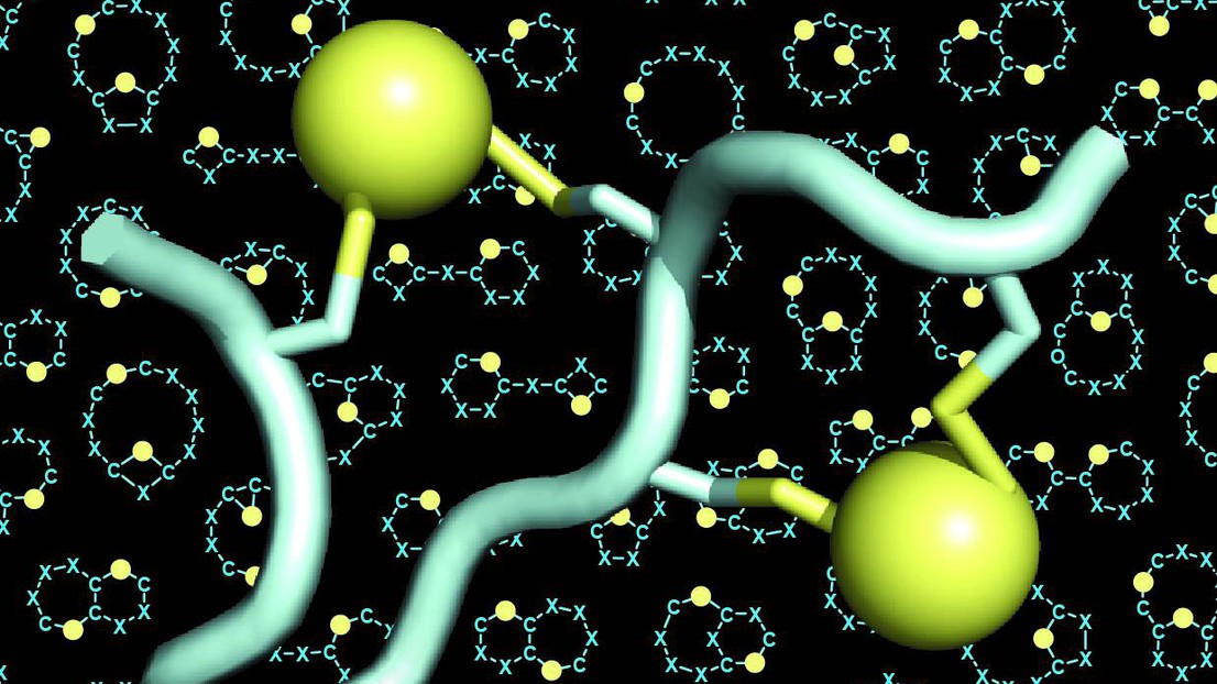 Double-bridged peptides © C. Heinis/EPFL Double-bridged peptides © C. Heinis/EPFL