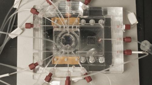 © 2012 EPFL © 2012 EPFL