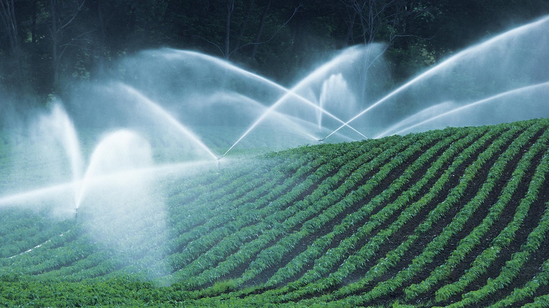 Agriculture uses 60% of the global water consumption. © photos.com Agriculture uses 60% of the global water consumption. © photos.com