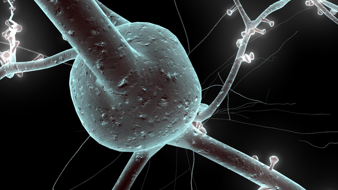 © EPFL / Blue Brain © EPFL / Blue Brain