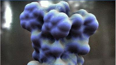 Part of the gramicidin molecule © INRI Part of the gramicidin molecule © INRI