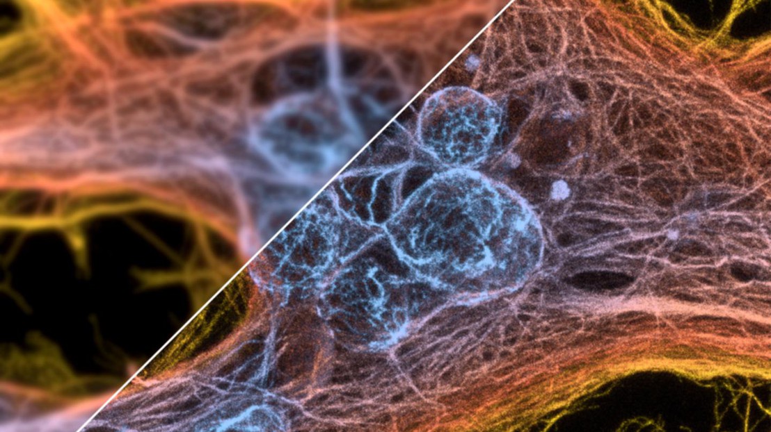 The algorithm performs the calculation in just a few seconds and generates a single number© 2019 EPFL