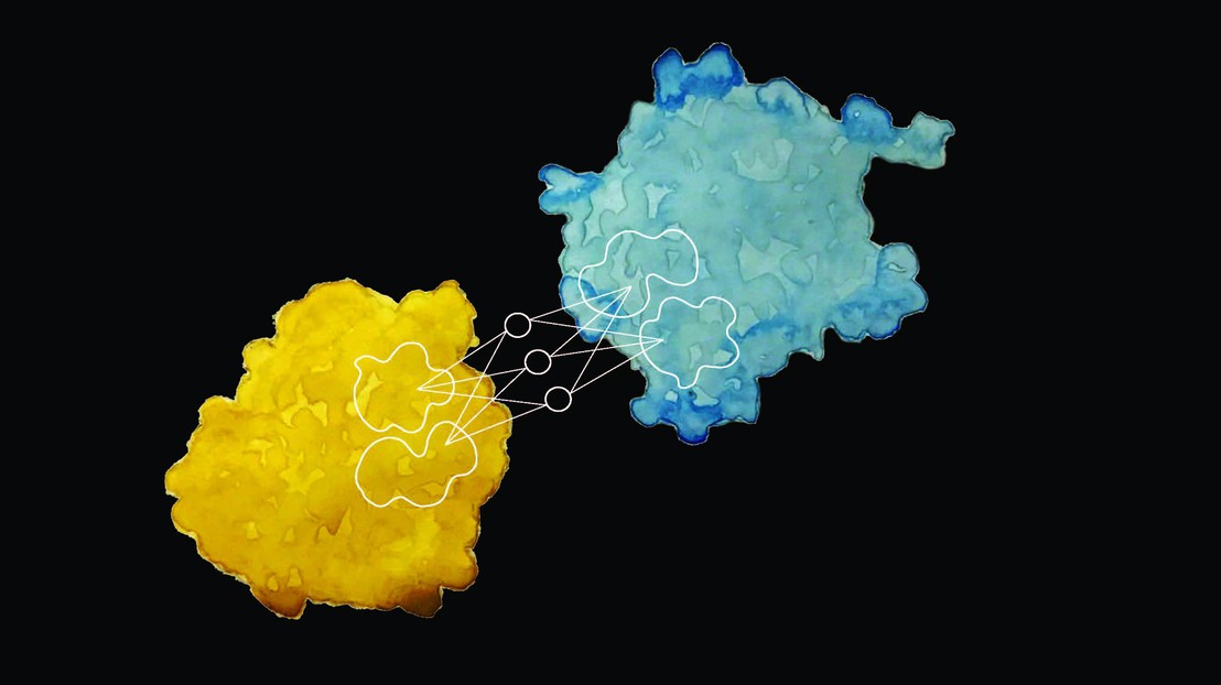 Proteins are the building blocks of life and play a key role in all biological processes. © Laura Persat / 2019 EPFL Proteins are the building blocks of life and play a key role in all biological processes. © Laura Persat / 2019 EPFL