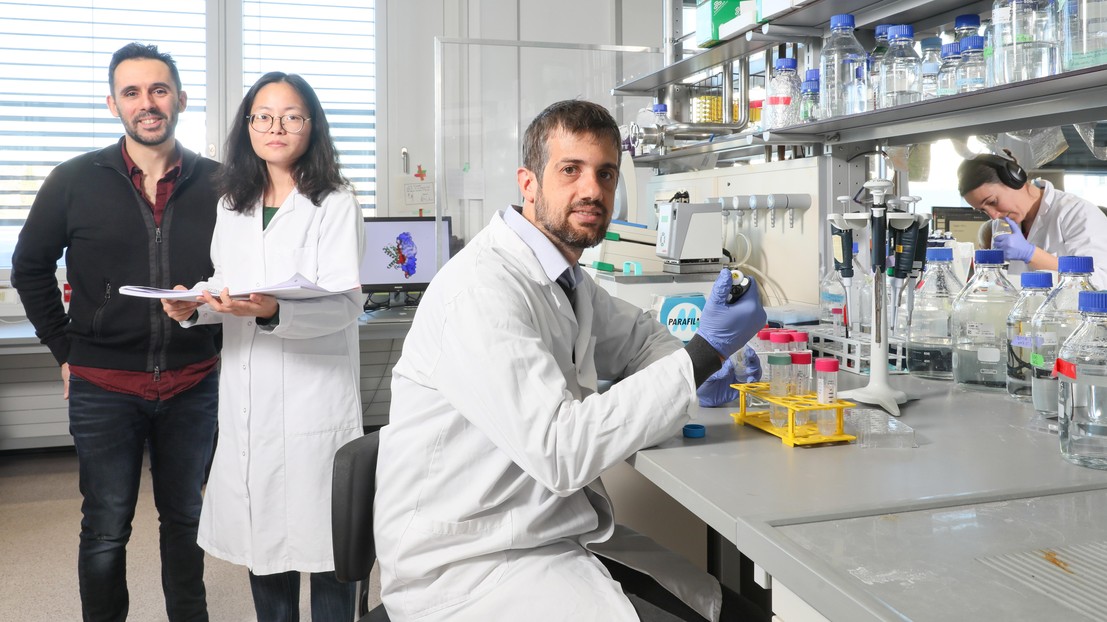 Bruno Correia, Sailan Shui, Pablo Gainza and Sandrine Georgeon© Alain Herzog  / EPFL 2020
