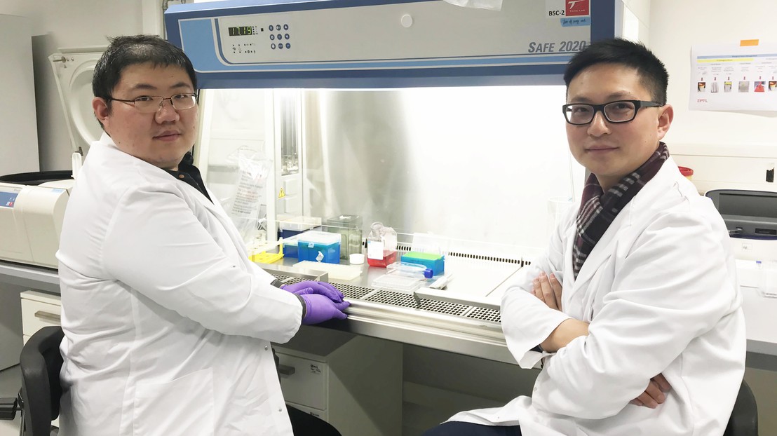 Yu Zhao and Li Tang© 2020 EPFL Yu Zhao and Li Tang© 2020 EPFL