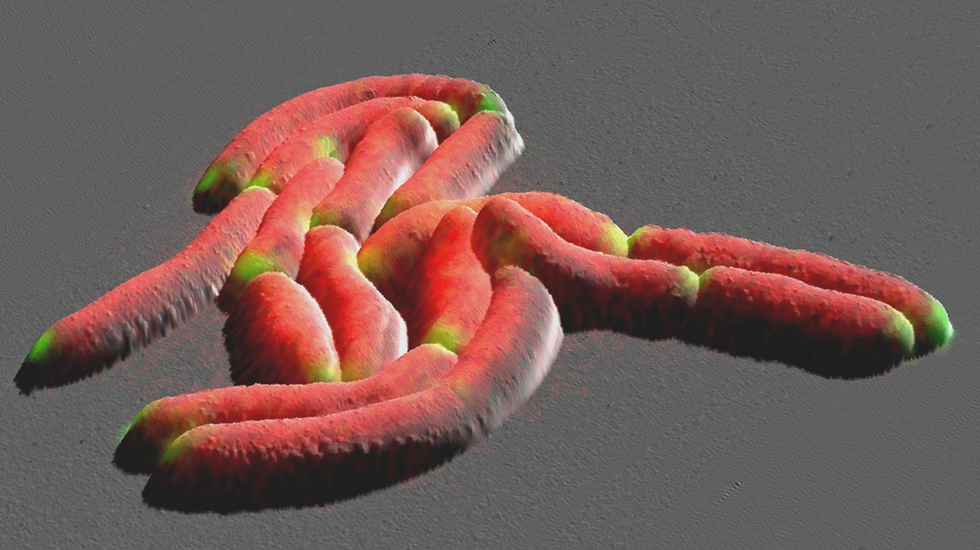 © 2020 EPFL © 2020 EPFL