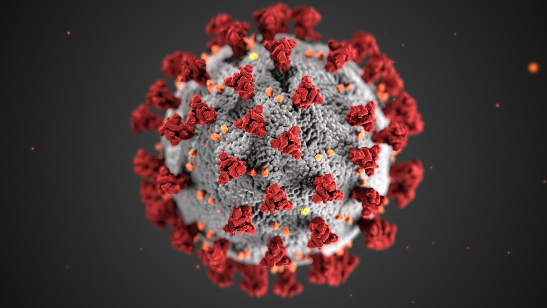CDC image of the ultrastructural morphology exhibited by coronaviruses © Alissa Eckert, MS; Dan Higgins, MAMS CDC image of the ultrastructural morphology exhibited by coronaviruses © Alissa Eckert, MS; Dan Higgins, MAMS