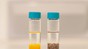 © 2020 EPFL / Alain Herzog