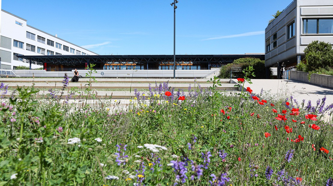 On Monday morning, the EPFL campus was slowly coming back to life. EPFL/Alain Herzog On Monday morning, the EPFL campus was slowly coming back to life. EPFL/Alain Herzog