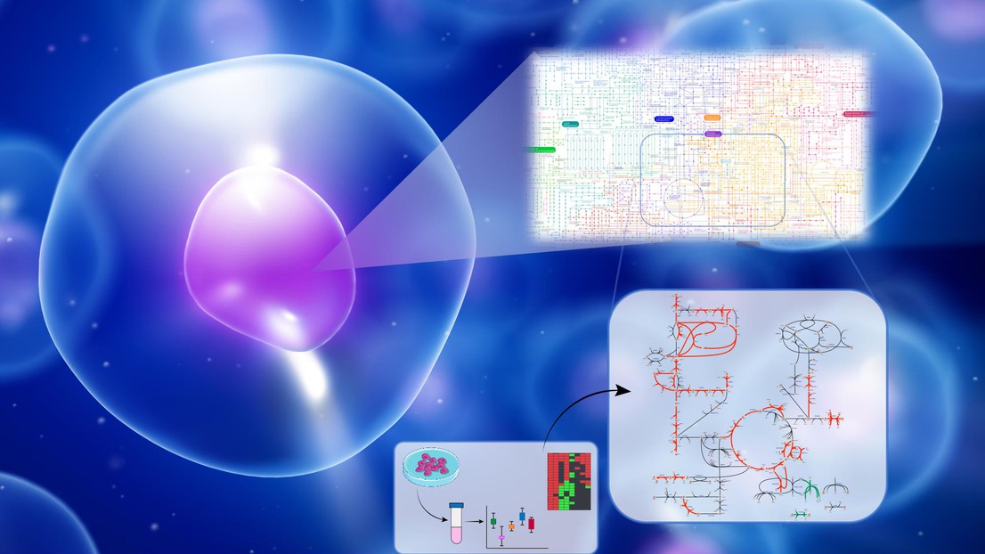 Credit: Maria Masid (EPFL)