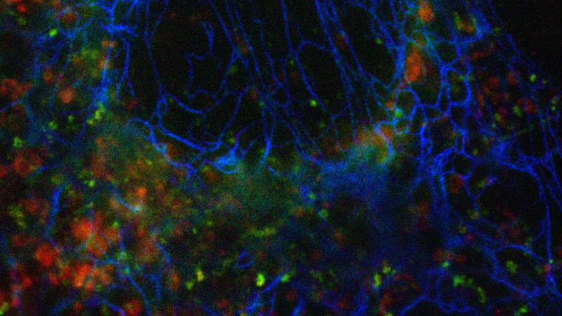 © 2020 EPFL © 2020 EPFL