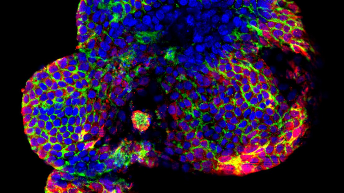 © 2020 EPFL © 2020 EPFL