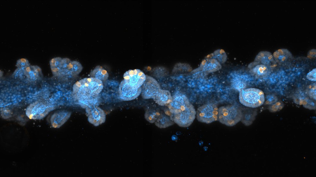 © 2020 EPFL © 2020 EPFL