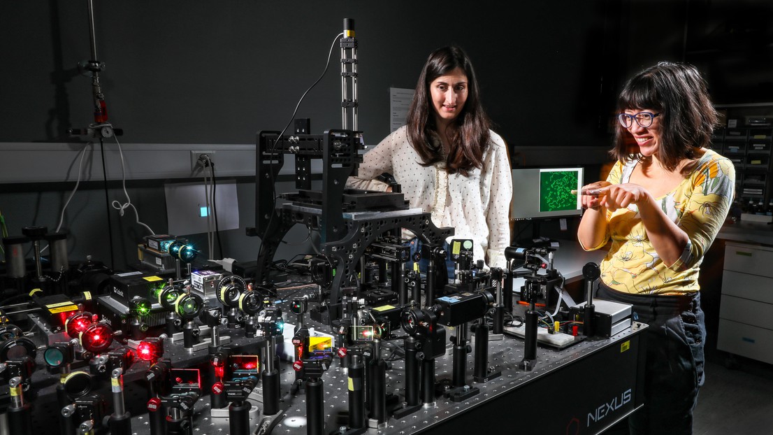 © 2020 EPFL / Alain Herzog © 2020 EPFL / Alain Herzog