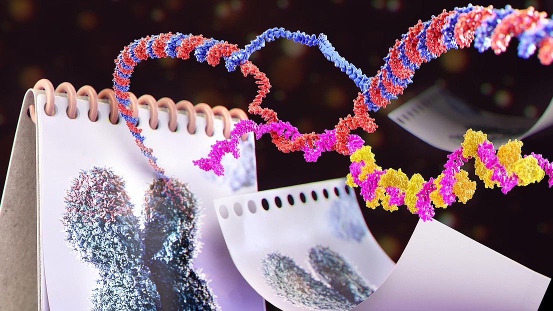 © 2020 EPFL / Demcon-Nymus3D