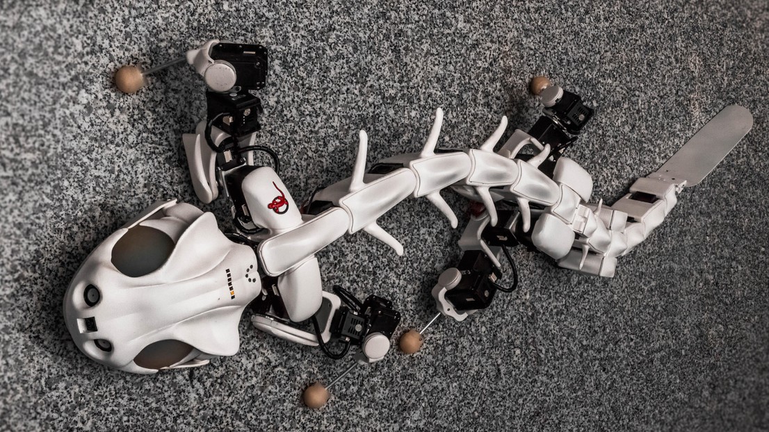 The Pleurobot robot salamander developed by EPFL’s Biorobotics Laboratory will be improved in the framework of this project © Konstantinos Karakasiliotis & Robin Thandiackal, BioRob/EPFL The Pleurobot robot salamander developed by EPFL’s Biorobotics Laboratory will be improved in the framework of this project © Konstantinos Karakasiliotis & Robin Thandiackal, BioRob/EPFL